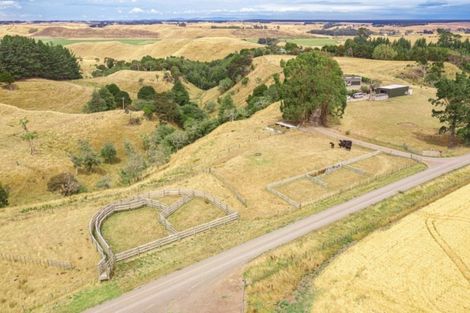 Photo of property in 162 Reynolds Road, Ratana, Whanganui, 4581