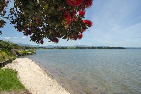 Photo of property in 262 Hamurana Road, Omokoroa, 3114