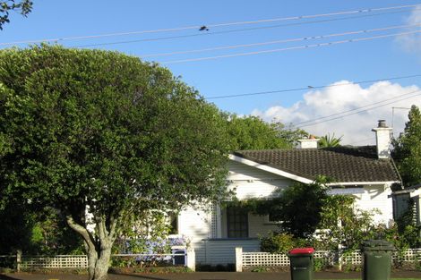 Photo of property in 47 Asquith Avenue, Mount Albert, Auckland, 1025