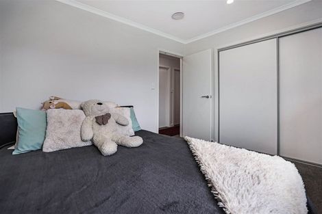 Photo of property in 45 Redhaven Rise, Netherby, Ashburton, 7700