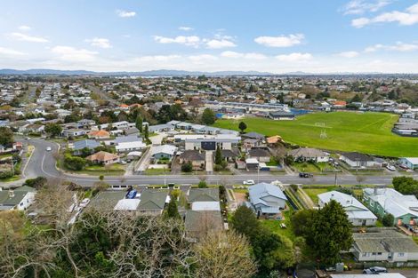 Photo of property in 47 Rimu Street, Maeroa, Hamilton, 3200