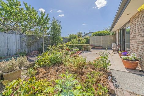 Photo of property in 52a Neville Street, Spreydon, Christchurch, 8024