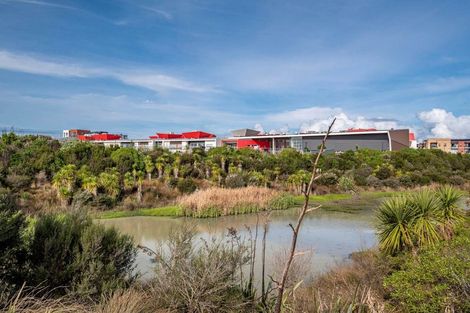 Photo of property in 22 Teal Way, Hobsonville, Auckland, 0616