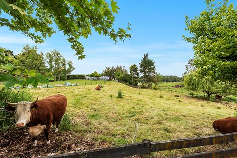 Photo of property in 703c Whatawhata Road, Whatawhata, Hamilton, 3285