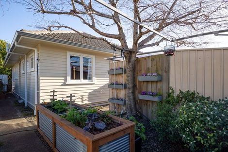 Photo of property in 153a Queen Street, Richmond, 7020