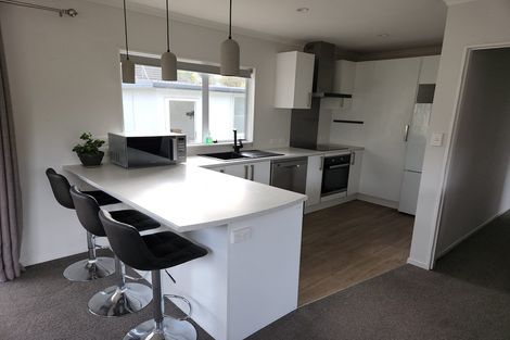 Photo of property in 28c Blenheim Street, Upper Hutt Central, Upper Hutt, 5018