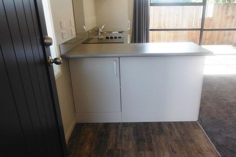 Photo of property in 54e Campbell Street, Frankton, Hamilton, 3204