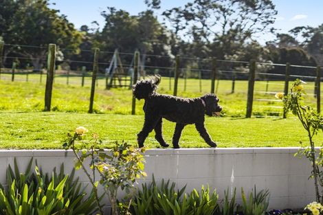 Photo of property in 100 Campbell Road, One Tree Hill, Auckland, 1061