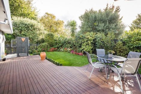 Photo of property in 449a College Street, Hokowhitu, Palmerston North, 4410