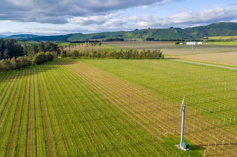 Photo of property in Redbank Estate, 224 Te Muna Road, Martinborough, 5784