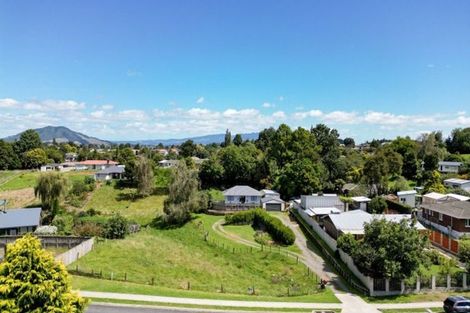 Photo of property in 38 Hall Street, Kihikihi, Te Awamutu, 3800