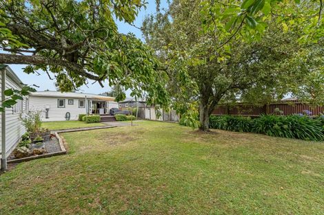 Photo of property in 33 Camden Street, Feilding, 4702