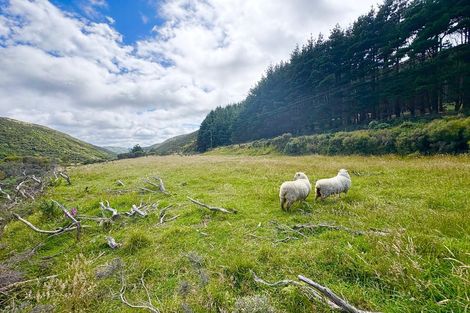Photo of property in Long Gully Farm, 338 Southernthread Road, Brooklyn, Wellington, 6021
