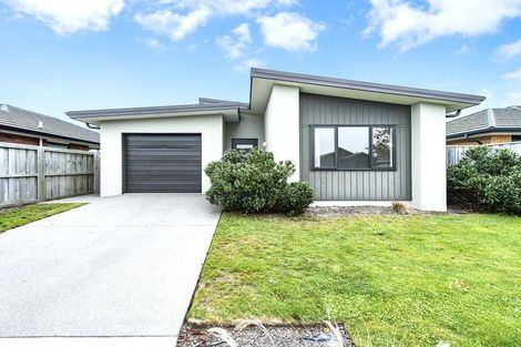 Photo of property in 27 Pakohe Street, Pegasus, 7612