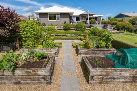 Photo of property in 85 Kensington Street, Putaruru, 3411