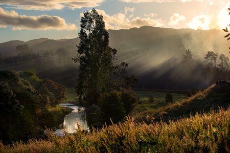 Photo of property in 81b Mcmillan Road, Tahawai, Katikati, 3170