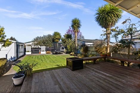 Photo of property in 515 Wellwood Street, Saint Leonards, Hastings, 4120