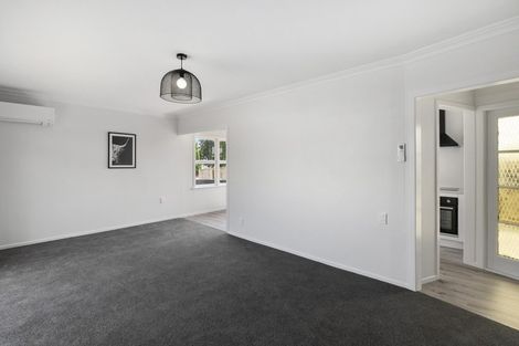 Photo of property in 35 Balmoral Street, Levin, 5510