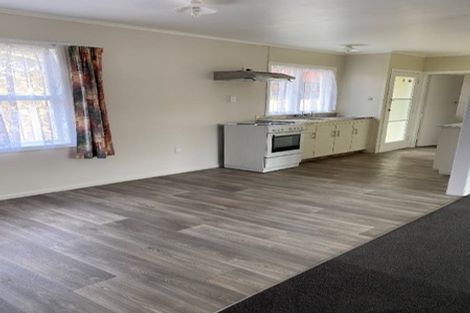 Photo of property in 93 Aurora Terrace, Hillcrest, Hamilton, 3216