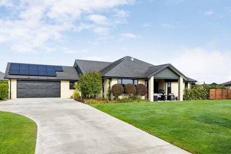 Photo of property in 17 Alan Livingston Drive, Cambridge, 3434