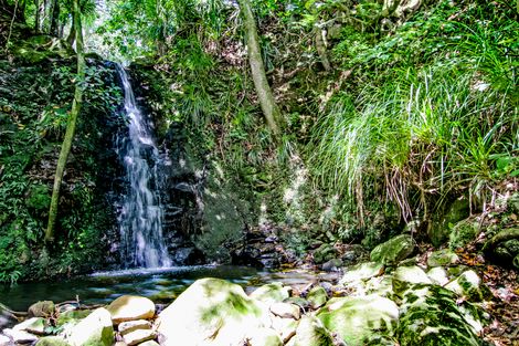 Photo of property in 185 Te Ahu Ahu Road, Ohaeawai, Kaikohe, 0472