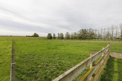 Photo of property in 77 Kilkern Road, Marton, Bulls, 4894