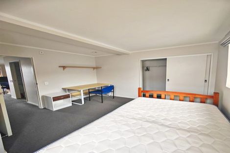 Photo of property in 1/22 Normanby Road, Mount Eden, Auckland, 1024