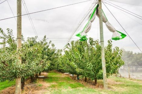 Photo of property in 200 Longlands Road, Longlands, Hastings, 4172