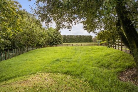 Photo of property in 24 Tuapiro Road, Tahawai, Katikati, 3170