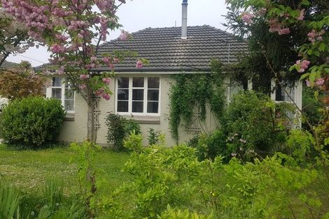 Photo of property in 43 Joy Street, Shirley, Christchurch, 8061