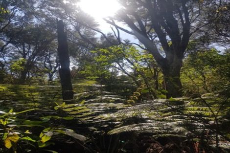 Photo of property in 306 Maunu Road, Horahora, Whangarei, 0110