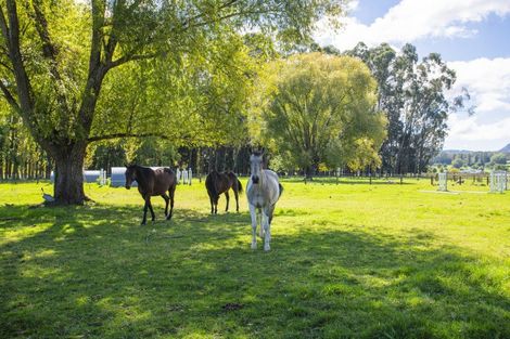 Photo of property in 140 Hansen Road, Makauri, Gisborne, 4071