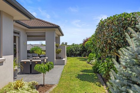 Photo of property in 19 Belgrave Close, Bethlehem, Tauranga, 3110