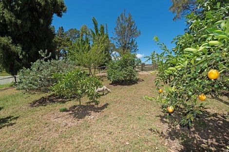 Photo of property in 317 Peria Road, Peria, Kaitaia, 0482