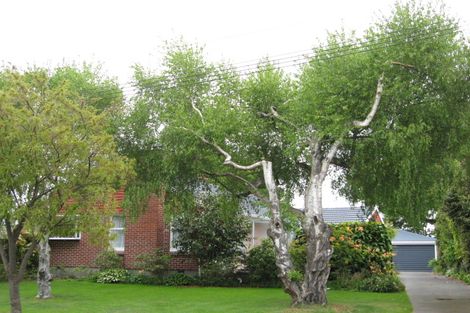 Photo of property in 55 Sevenoaks Drive, Bryndwr, Christchurch, 8053