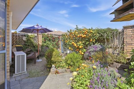 Photo of property in 89 Eighth Avenue, Tauranga, 3110