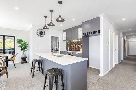 Photo of property in 117 John Burke Drive, Aotea, Porirua, 5024