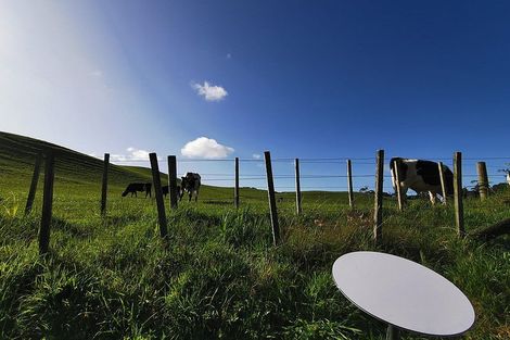 Photo of property in 16 Shelly Beach Road, Shelly Beach, Helensville, 0874