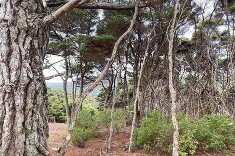 Photo of property in 19 Woods Ridge Road, Kawau Island, 0920