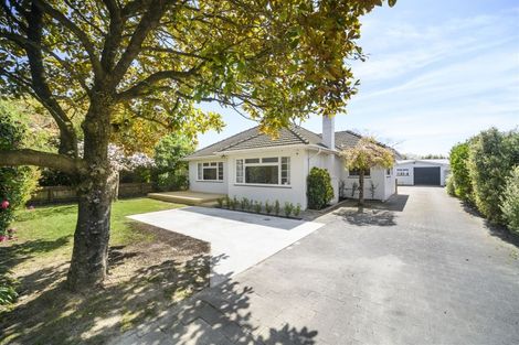 Photo of property in 397 Ruahine Street, Terrace End, Palmerston North, 4410