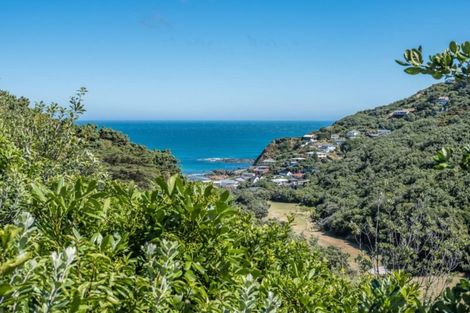 Photo of property in 145a Houghton Bay Road, Houghton Bay, Wellington, 6023