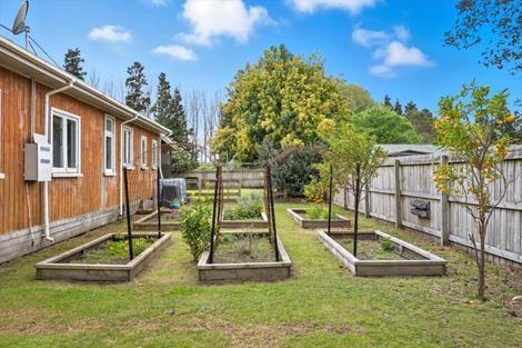 Photo of property in 24 Pah Road, Te Puke, 3189