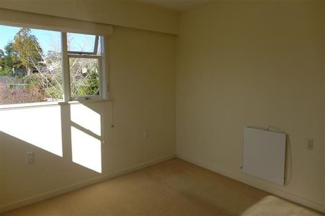 Photo of property in 33 Mason Avenue, Otahuhu, Auckland, 1062