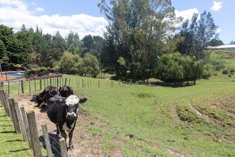 Photo of property in 768 Glen Murray Road, Rangiriri, Huntly, 3772