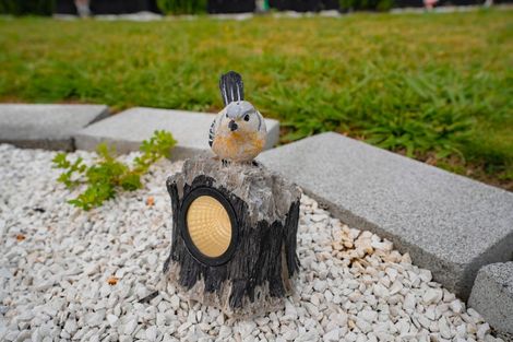 Photo of property in 3 Aberdeen Drive, Dinsdale, Hamilton, 3204