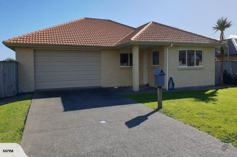 Photo of property in 27 Barry Curtis Place, Levin, 5510
