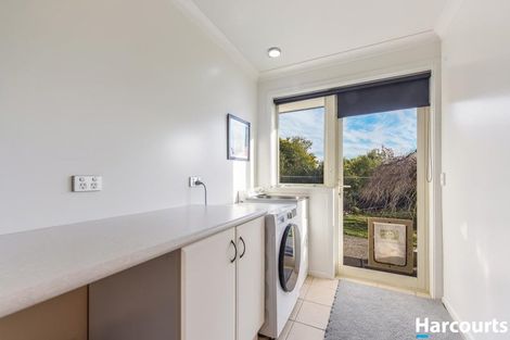 Photo of property in 19 Westdale Road, Redwood Valley, Richmond, 7081