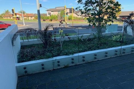 Photo of property in 87 Puhinui Road, Papatoetoe, Auckland, 2104