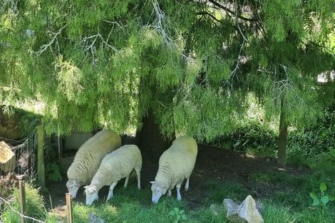 Photo of property in 11a Tui Street, Te Puke, 3119