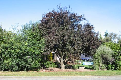 Photo of property in 20 Campbell Street, Geraldine, 7930